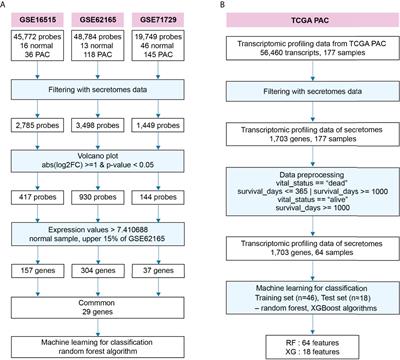 Machine learning-featured Secretogranin V is a circulating diagnostic biomarker for pancreatic adenocarcinomas associated with adipopenia